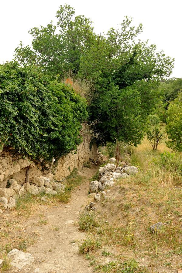 Villa Axenti Agios Thomas  ภายนอก รูปภาพ